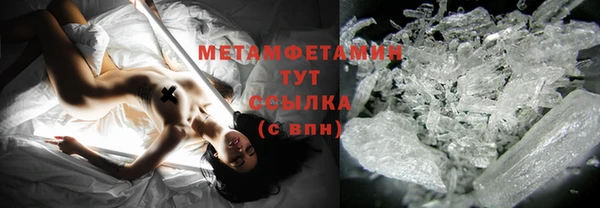 стаф Вязьма