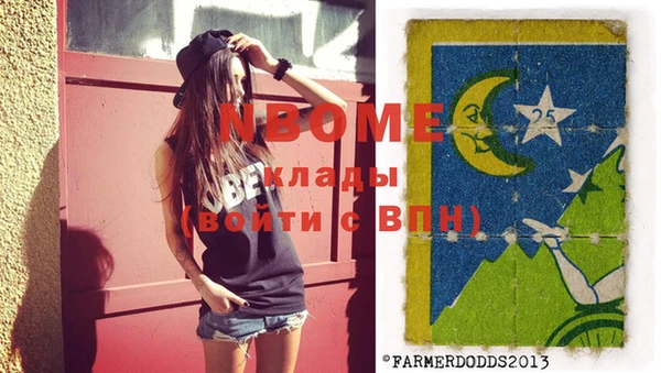 стаф Вязьма