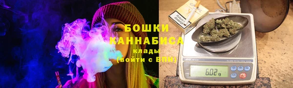 стаф Вязьма
