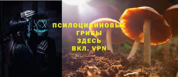 прущий лед Вязники