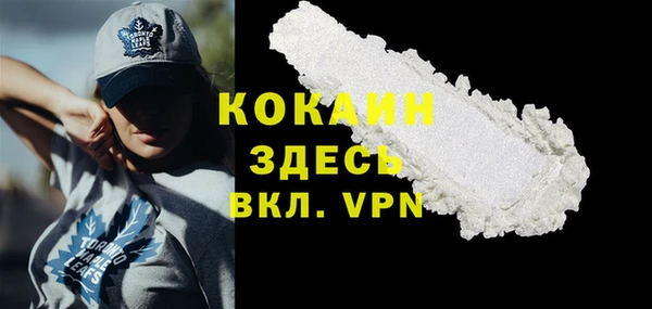 стаф Вязьма
