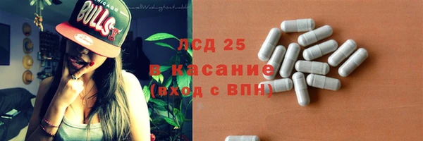 стаф Вязьма