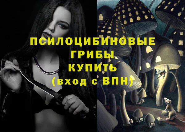 spice Тутаев