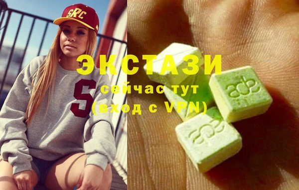 стаф Вязьма