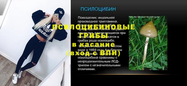 стаф Вязьма