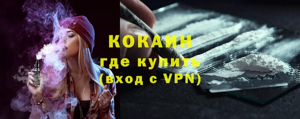 стаф Вязьма